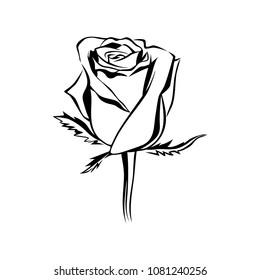 Vector rose bud outline silhouette. Logo, tattoo or emblem of rose. Flower element. Hand drawn illustration rose isolated on white background
