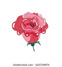 Vector rose bud red and pink color. Cartoon flat style. Floral design element