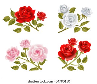 Vector rose buttonholes