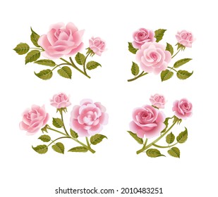 Vector rose buttonholes with pink roses.