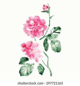vector rose for design, watercolor roses branch