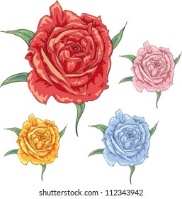 Vector rose in differenet colours. Art design elements