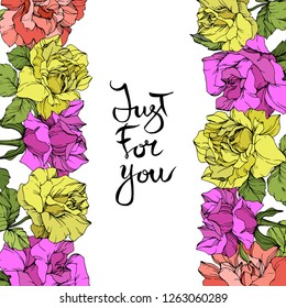Vector Rose floral border. Floral botanical flower. Purple, yellow and coral engraved ink art. Just fos you handwriting monogram calligraphy.