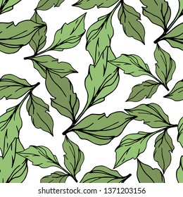 Vector Rose floral botanical flower. Wild spring leaf wildflower isolated. Black and green engraved ink art. Seamless background pattern. Fabric wallpaper print texture.