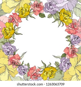Vector Rose floral wreath on white background. Floral botanical flower. Yellow, purple and pink engraved ink art.