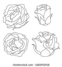 vector rose flower clip art coloring book page