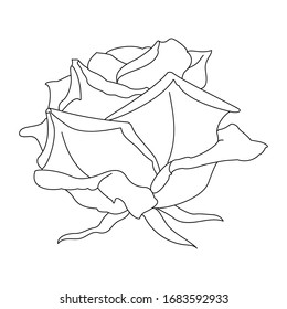 vector rose flower clip art coloring book page