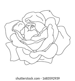 vector rose flower clip art coloring book page