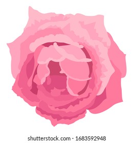 vector rose flower clip art on white isolated background