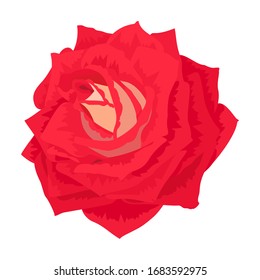 vector rose flower clip art on white isolated background