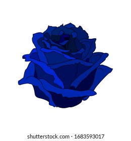 imagen prediseñada de flores de rosa vectorial sobre fondo blanco aislado