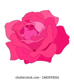 vector rose flower clip art on white isolated background