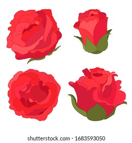 vector rose flower clip art on white isolated background