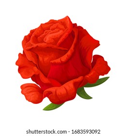 vector rose flower clip art on white isolated background