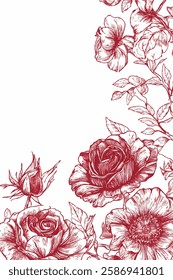 vector, rose, flower, drawing, illustration, background, isolation, line