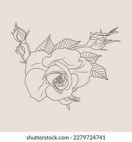 vector rose flower drawing sketch illustration 