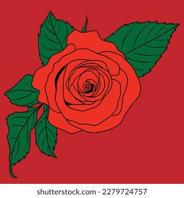vector rose flower drawing sketch illustration 