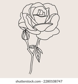 vector rose flower drawing sketch