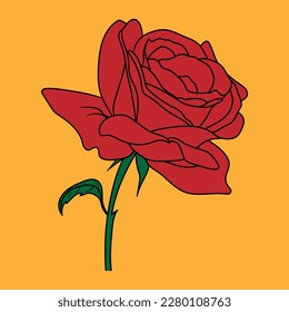 vector rose flower drawing sketch