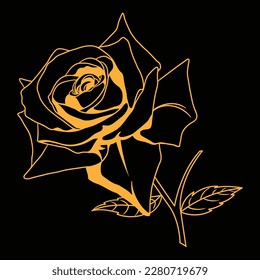 vector rose flower drawing sketch illustration