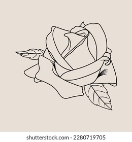 vector rose flower drawing sketch illustration