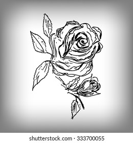 Vector rose flower. Illustration by hand. Monochrome drawing