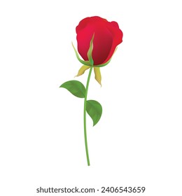 Ilustración de la flor rosa vectorial aislada en fondo blanco.