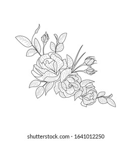 Vintage Flower Vector Card Drawing Peony Stock Vector (Royalty Free ...