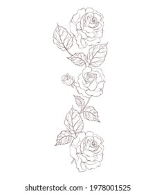 Vector rose flower isolated on white background. Element for design. ines and strokes. Editable illustration 