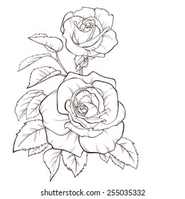 Vector rose flower isolated on white background. Element for design. Hand-drawn contour lines and strokes.