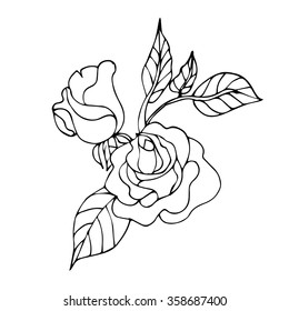 Vector rose flower isolated on white background. Element for design. Hand-drawn  lines