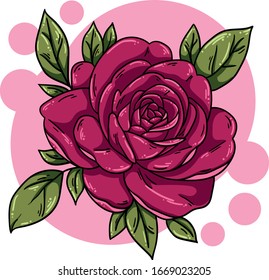 vector rose flower red illustration