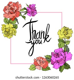 Vector Rose flower square frame on white background. Floral botanical flower. Yellow, purple and coral engraved ink art. Thank you handwriting monogram calligraphy.