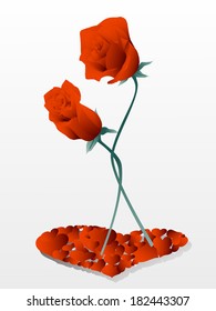 vector rose flowers  
