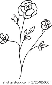 Vector rose flowers. Hand drawn doodle style illustration. Black outlines isolated on white background. Image for coloring book design, seasonal cards decoration and printed materials.