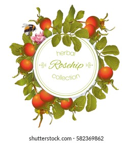 Vector rose hip round banner on white background. Design for tea, homeopathy, herbal cosmetics,health care products. With place for text