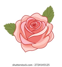 Ilustración de rosa de Vector con un Grande brote con pétalos suavemente rizados, ejecutados en tonos de rosa y hojas verdes sobre un fondo blanco.