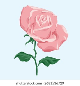 Ilustración de rosa de Vector. Ilustración de flores. 