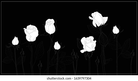 
Vector rose illustration isolated from background
