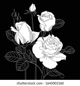 Vector rose illustration isolated from background