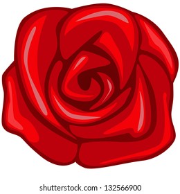 Vector rose isolated on white background