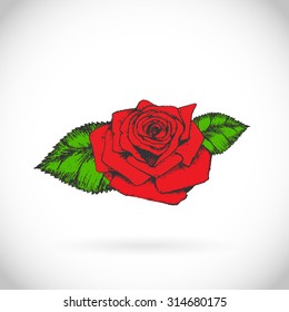 Vector rose isolated on white.