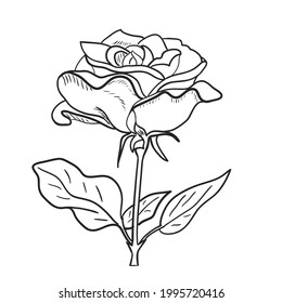 Vektorgrafik von Rose mit Blättern und Stamm.Schwarzer Umriss auf weißem Hintergrund.Dekoratives Element für Hochzeitsdesign,Tatoo-Tamplate