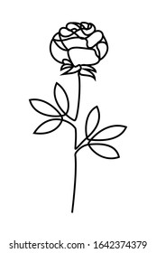 Vector rose line art drawing. Modern minimalist illustration
