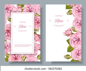 Vector rose natural cosmetic vertical banners on white background. Design for beauty salon, health care products, aromatherapy. With place for text. Can be used as greeting card or wedding invitation