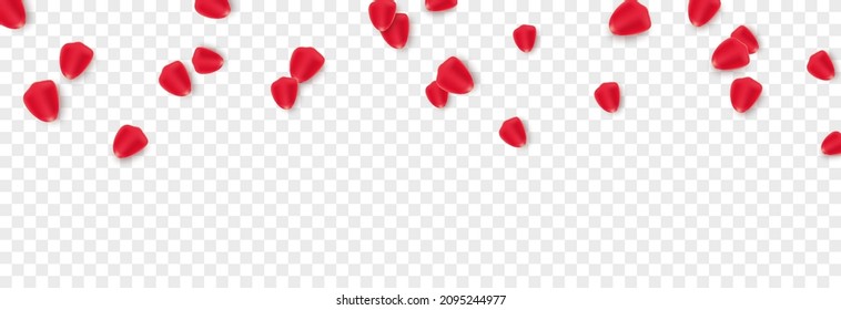 Vector rose petals on isolated transparent background. Falling rose petals png. Holiday, Valentine's Day.