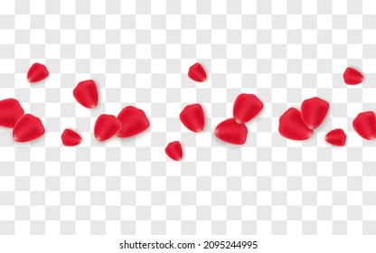 Vector rose petals on isolated transparent background. Petals PNG. Holiday, Valentine's Day.