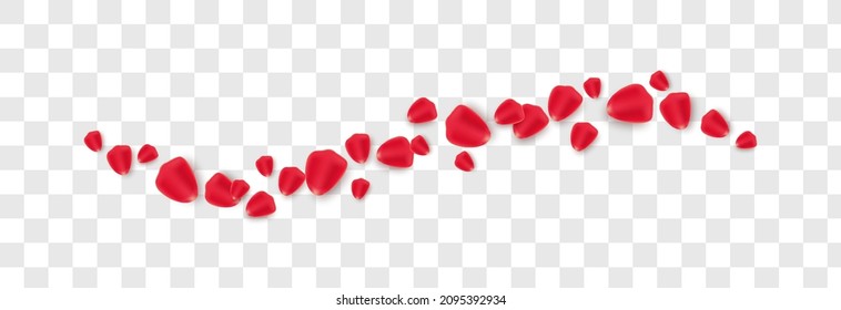 Vector rose petals on isolated transparent background. Petals PNG. Holiday, Valentine's Day.