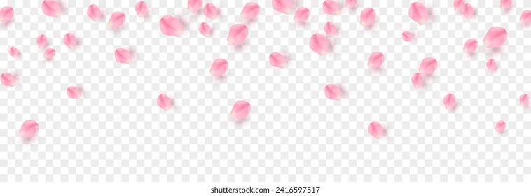 Vector rose petals png. Flying sakura or rose petals. Petals png.