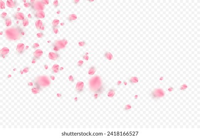 Vector rose petals png. Flying sakura or rose petals. Petals png.